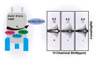 Surface gallium hydride on Ga2O3 polymorphs: A comparative solid-state NMR study 2025.100561